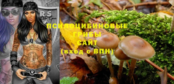 ГАЛЛЮЦИНОГЕННЫЕ ГРИБЫ Абинск