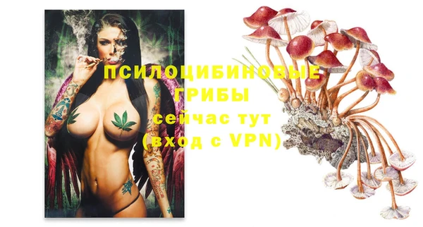 дурь Новодвинск