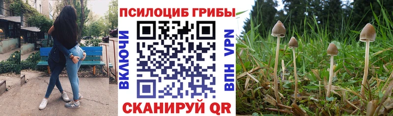 Псилоцибиновые грибы мицелий  Ряжск 